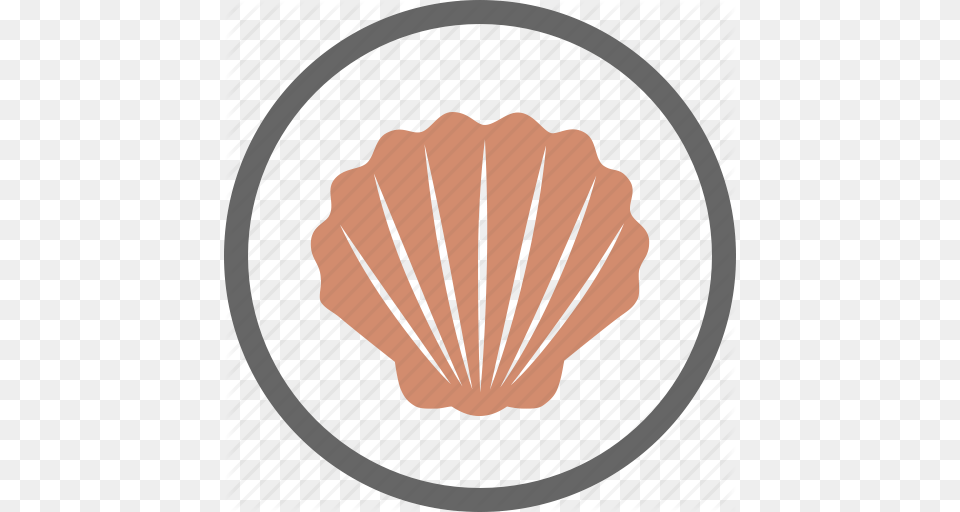 Contain Contains Food Label Seashell Shell Shellfish Icon, Animal, Clam, Invertebrate, Sea Life Free Png