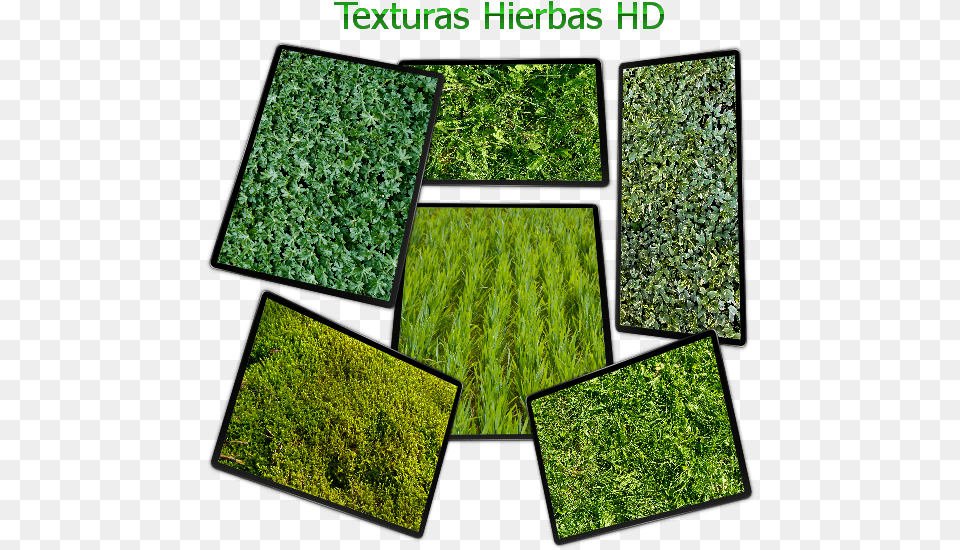 Contenido Nature Texture, Vegetation, Plant, Moss, Grass Png