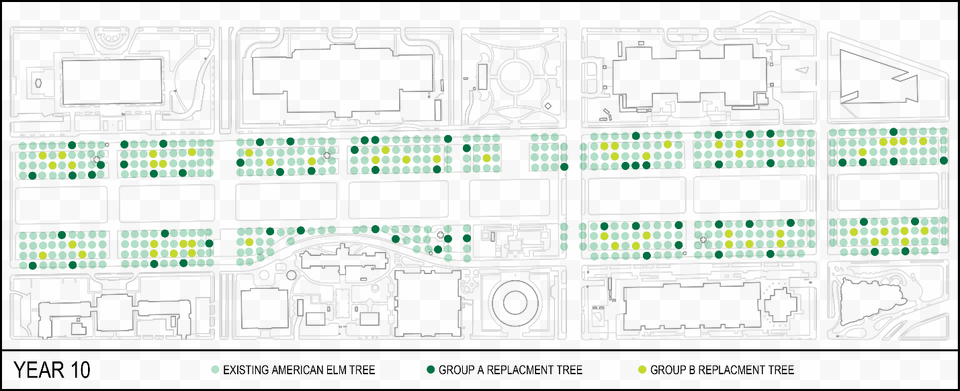 Continuing To Assume That 10 Trees Are Being Replaced Diagram, Chart, Plan, Plot, Cad Diagram Free Transparent Png