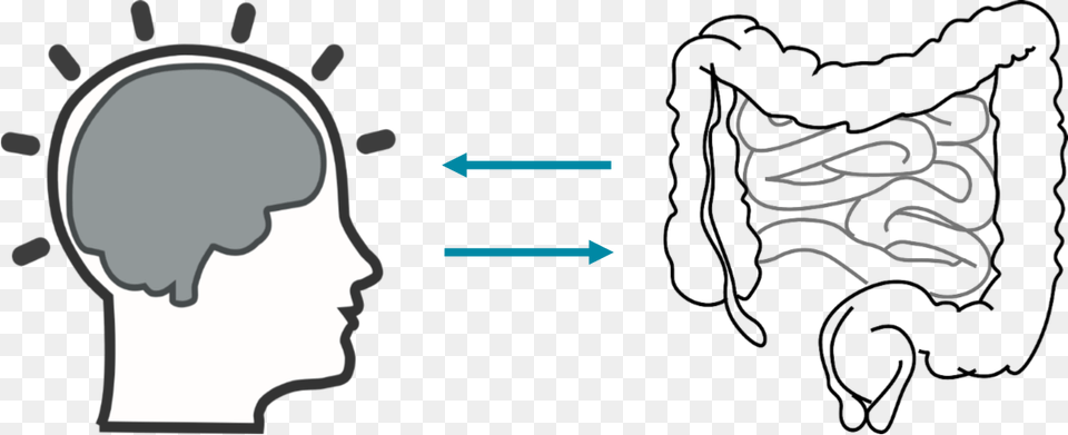 Continuous Learning For Individuals Management Amp Business Brain In Head Clip Art, Ct Scan, Person, Face, Body Part Png