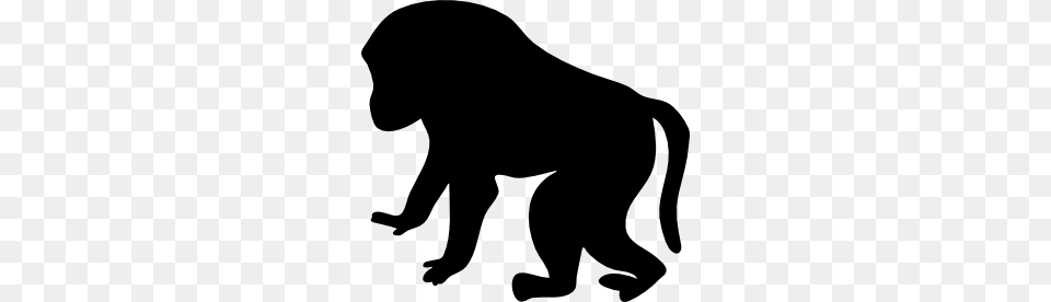 Contour Baboon Clip Art, Silhouette, Animal, Bear, Mammal Png Image
