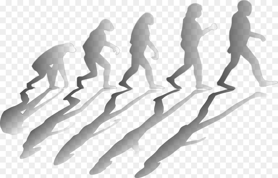 Contributions Of Charles Darwin In Science, People, Person, Silhouette, Walking Free Png Download