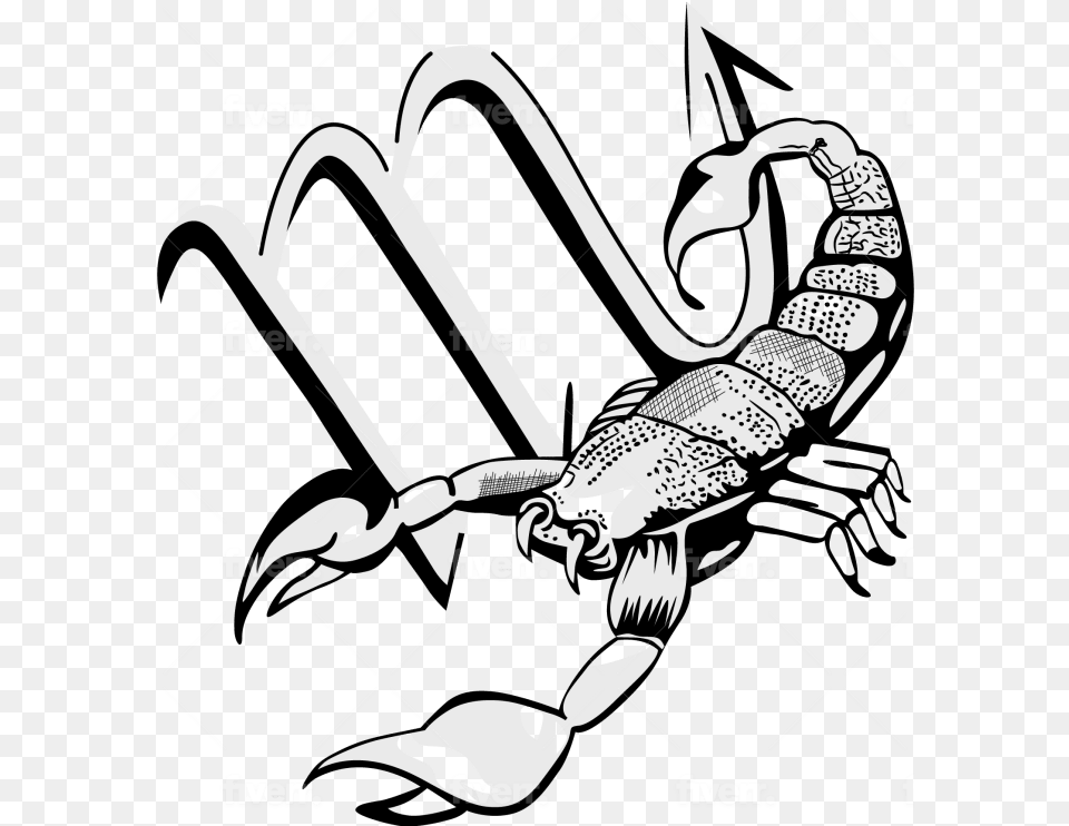 Convert Drawing Into Digital Art And Vector Tracing Logo Scorpion, Electronics, Hardware, Hook, Claw Png Image