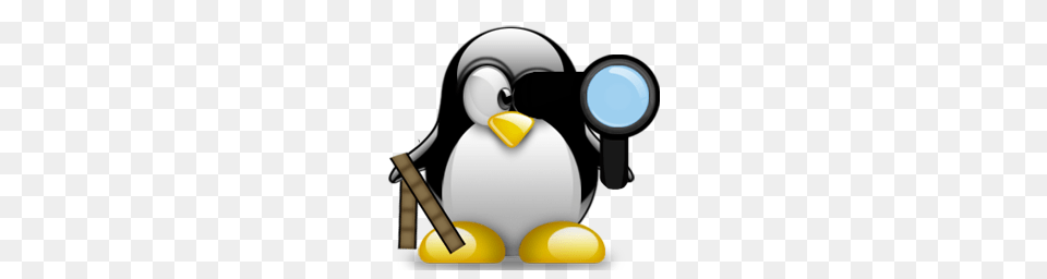 Converting Pictures To Format Videos On Linux, Animal, Appliance, Bird, Blow Dryer Free Transparent Png