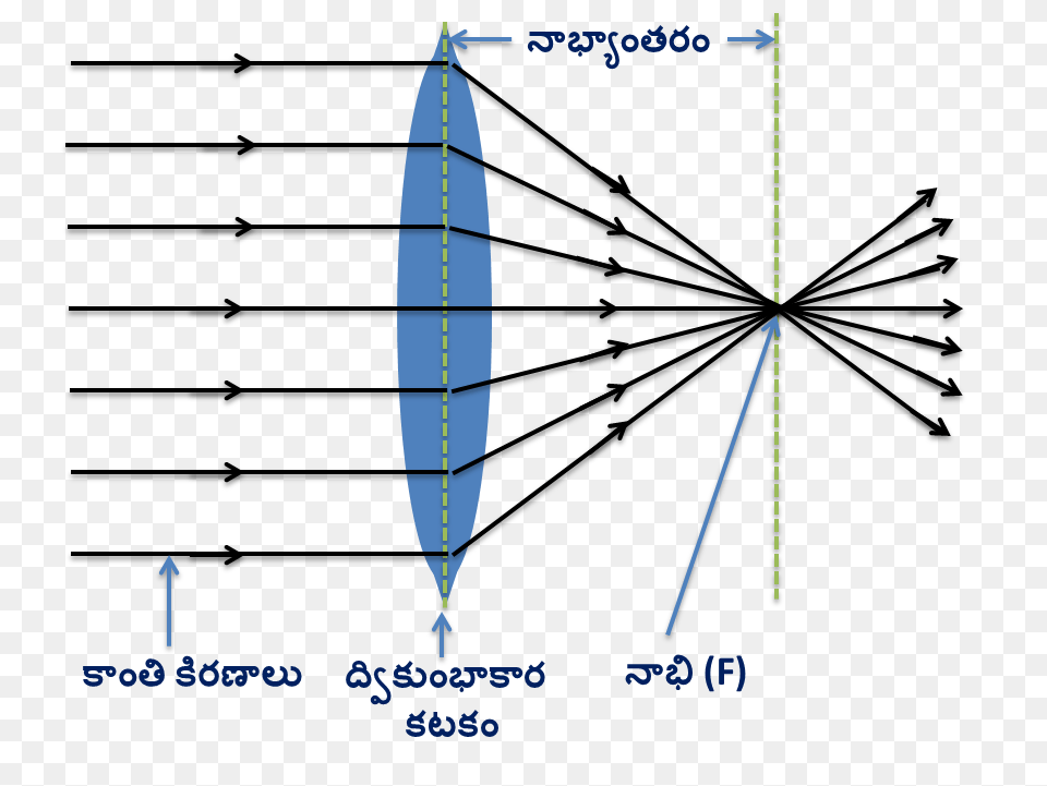 Convex Lens, Oars Png