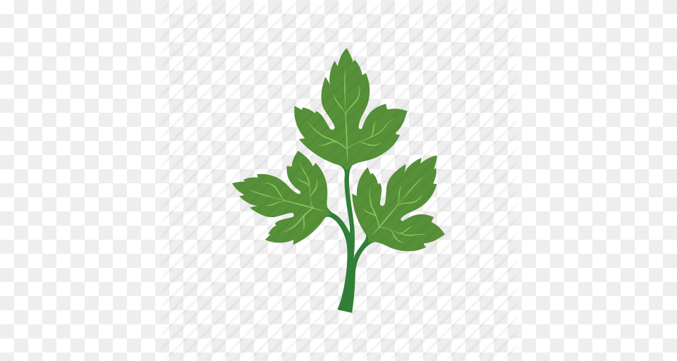 Cook Dish Food Green Parsley Vegetable Veggie Icon, Herbal, Herbs, Leaf, Plant Png Image