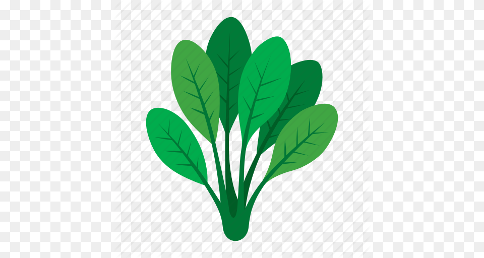 Cook Food Green Kitchen Spinach Vegetable Veggie Icon, Leafy Green Vegetable, Plant, Produce, Leaf Free Png