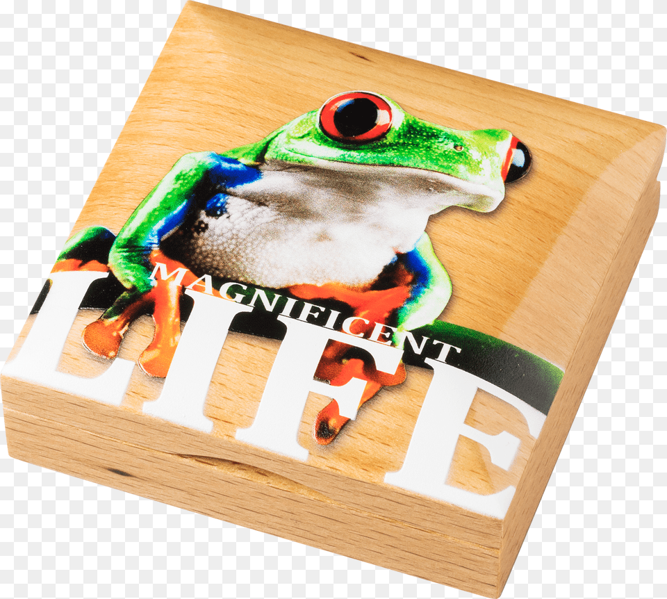 Cook Islands 2018 5 Dollars Magnificent Life Tree Frog, Amphibian, Animal, Wildlife, Tree Frog Free Png Download