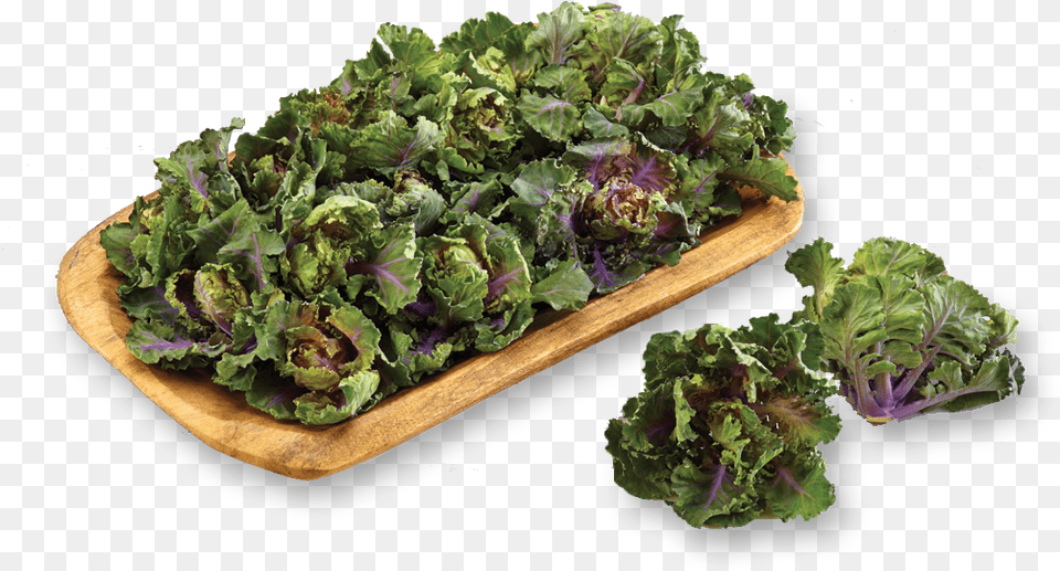 Cook Kalettes, Food, Kale, Leafy Green Vegetable, Plant Free Png
