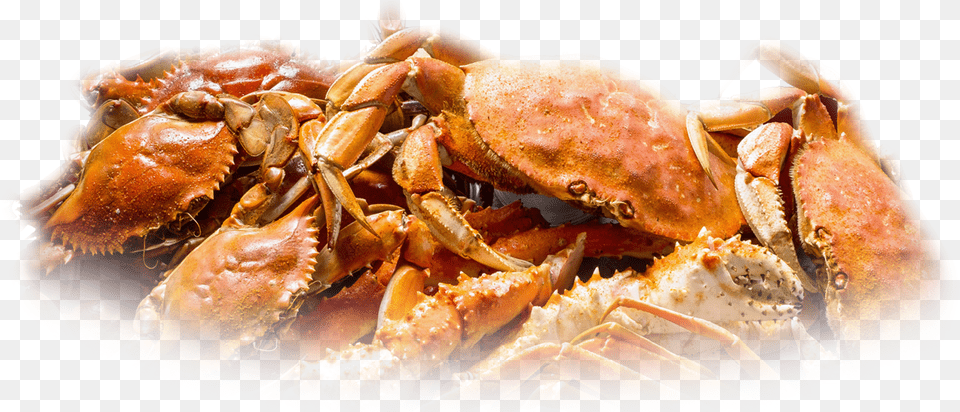 Cooked Blue Claw Crab Transparent, Food, Seafood, Animal, Invertebrate Free Png Download