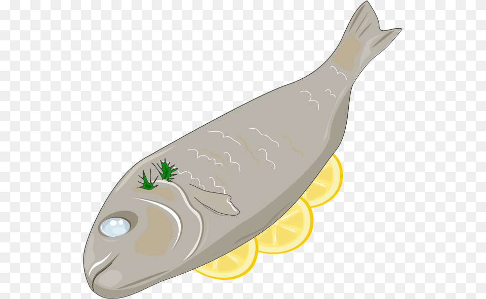 Cooked Fish Clip Art Cooked Fish Clipart, Animal, Sea Life, Herring, Food Free Png