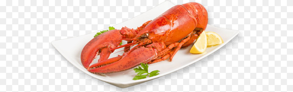 Cooked Lobster Cooked Lobster, Animal, Food, Invertebrate, Sea Life Free Png