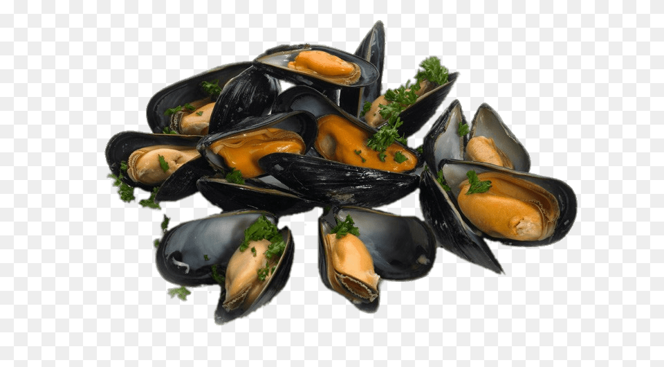 Cooked Mussels With Parsley, Animal, Clam, Food, Invertebrate Free Png Download