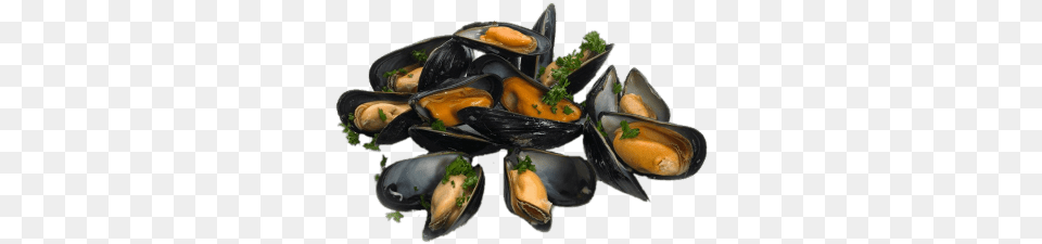 Cooked Mussels With Parsley Mussels, Animal, Clam, Food, Invertebrate Free Transparent Png