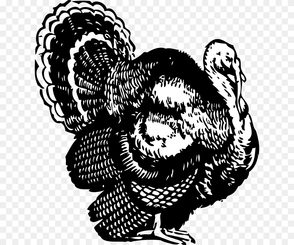 Cooked Thanksgiving Turkey Clipart Black And White Turkey Black And White Clipart, Animal, Dinosaur, Reptile Png Image
