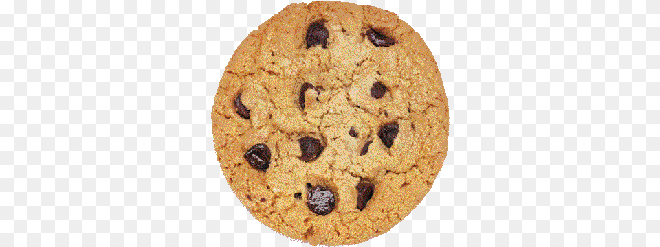 Cookie Images Cookie, Food, Sweets, Teddy Bear, Toy Png Image