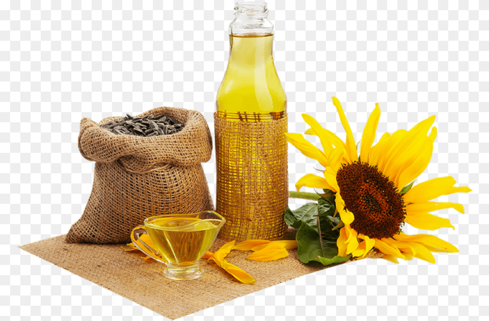Cooking Oil Bottle, Cup, Flower, Plant, Sunflower Free Png
