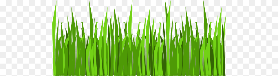 Cookout Border Clipart Cookout Clip Art, Grass, Green, Lawn, Plant Free Png Download