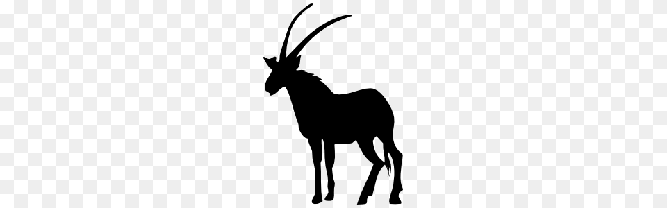 Cool Antelope Sticker, Animal, Gazelle, Mammal, Wildlife Free Png