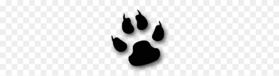 Cool Cat Animal Paw Images, Lighting, Silhouette, Ct Scan Png
