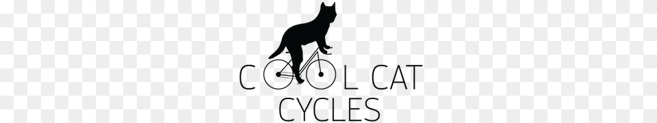 Cool Cat Cycles, Animal, Coyote, Mammal Free Transparent Png