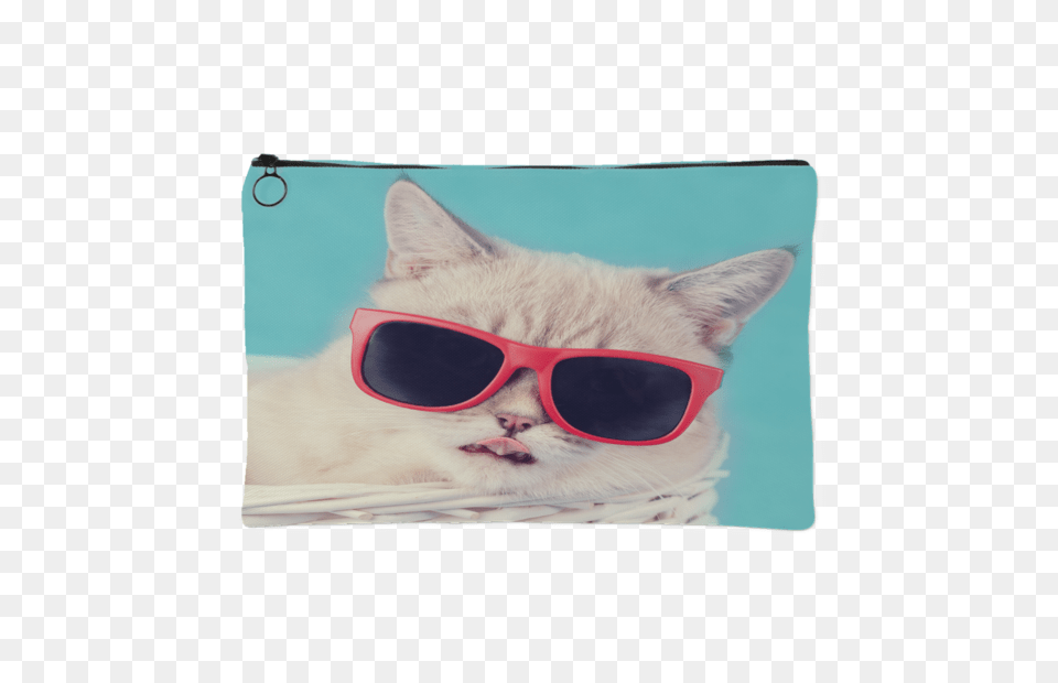 Cool Cat Pouch Jacksonsrunaway, Accessories, Glasses, Sunglasses, Animal Free Transparent Png