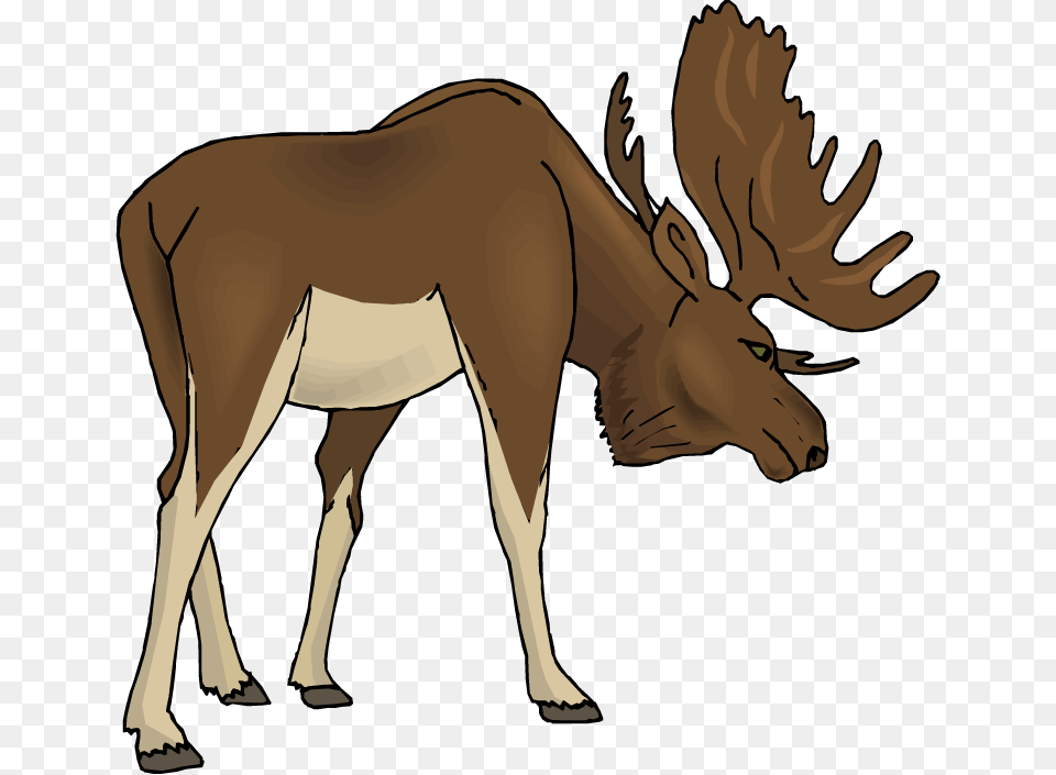 Cool Clipart Moose, Animal, Mammal, Wildlife, Adult Png Image