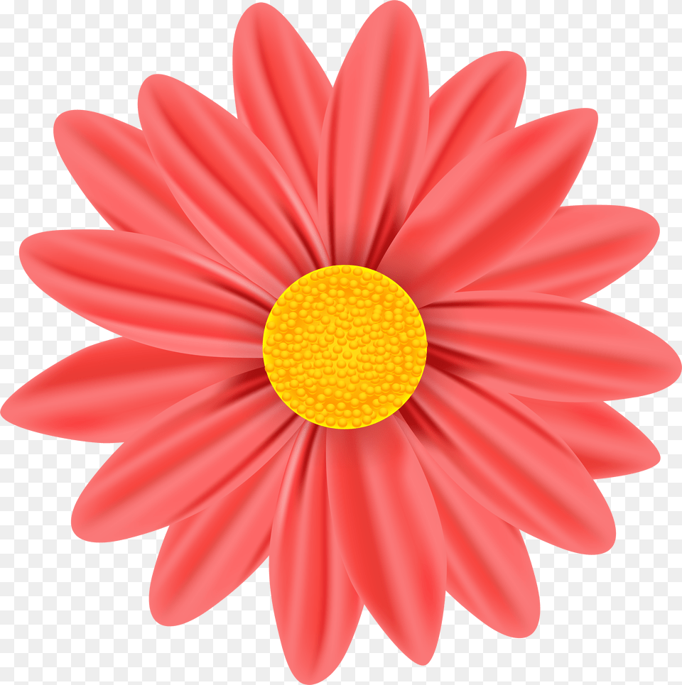 Cool Daisy Cliparts For Clip Art Free Transparent Png