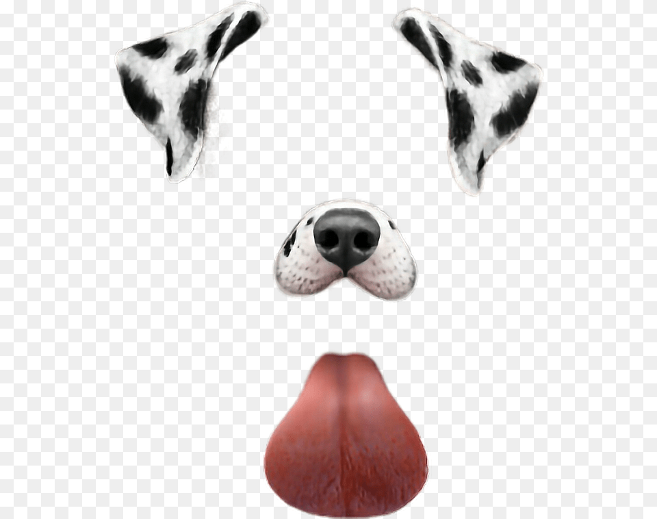 Cool Dog Snapchat Dog Filter, Mouth, Body Part, Person, Snout Free Png Download