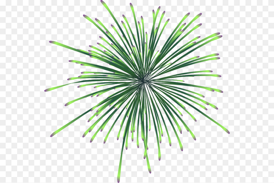 Cool Fireworks Plant Free Png Download