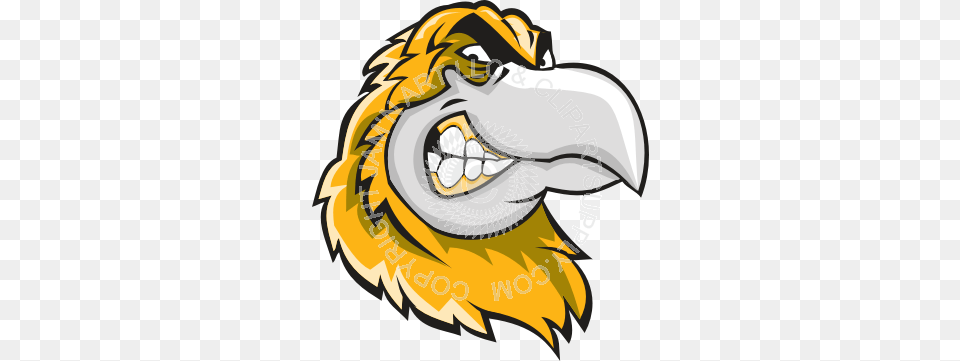 Cool Hawk Head Smiling, Animal, Beak, Bird, Vulture Png