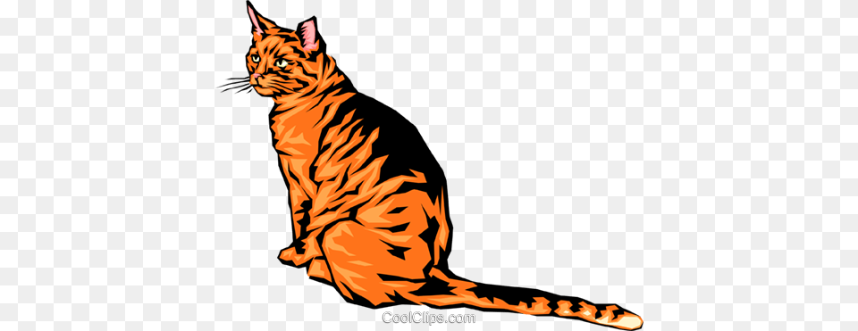 Cool Looking Cat Royalty Vector Clip Art Illustration, Animal, Mammal, Pet, Tiger Free Transparent Png