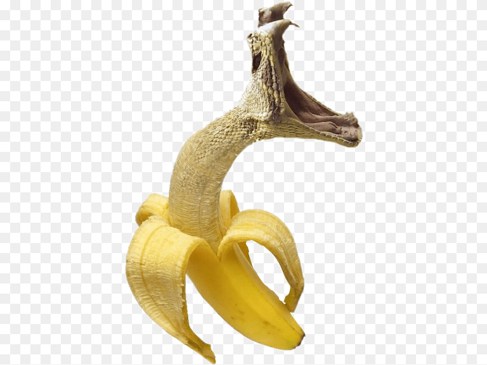 Cool Photos To Photoshop, Banana, Food, Fruit, Plant Free Png