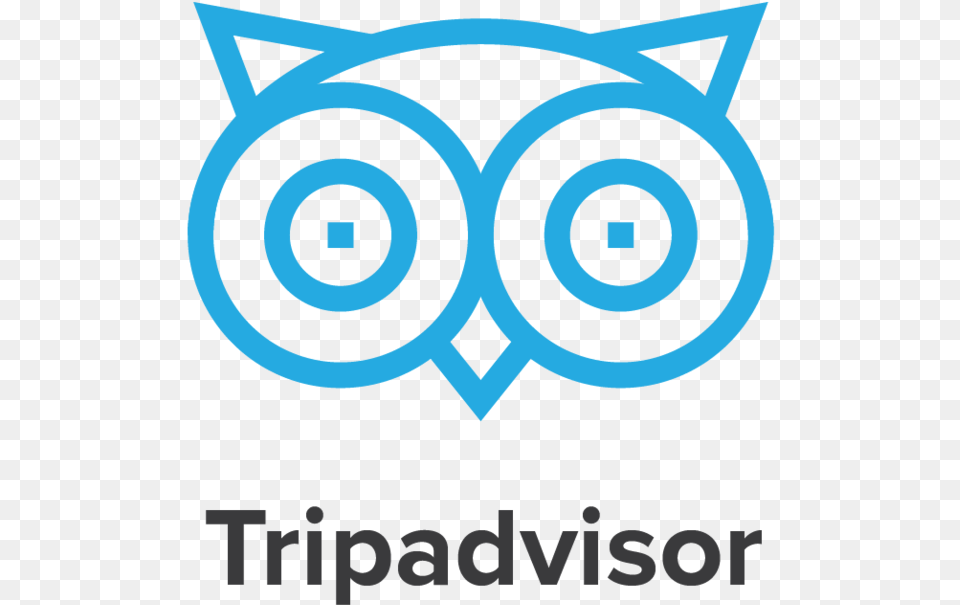 Cool Planet Experience Icon Tripadvisor Logo, Person Png
