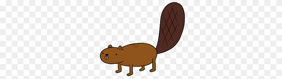 Cool Slumber Party Clip Art Beaver The Adventure Time Wiki, Animal, Mammal, Rodent, Bear Free Transparent Png