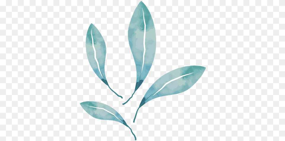 Cool Watercolor Leaves Transparent U0026 Svg Vector File Azul Hojas Acuarela, Leaf, Plant, Annonaceae, Tree Free Png
