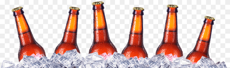 Cooler Beers, Alcohol, Beer, Beer Bottle, Beverage Png Image