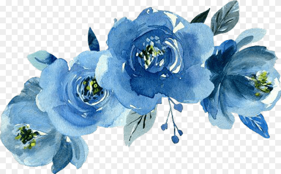 Coolest Background Blue Watercolor Flowers, Plant, Flower, Anemone, Rose Free Transparent Png