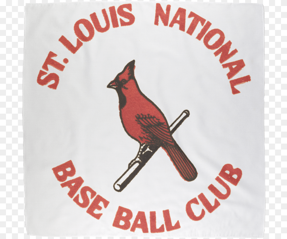 Coolstub 1933 St 1926 Cardinals, Animal, Bird, Cardinal Free Transparent Png