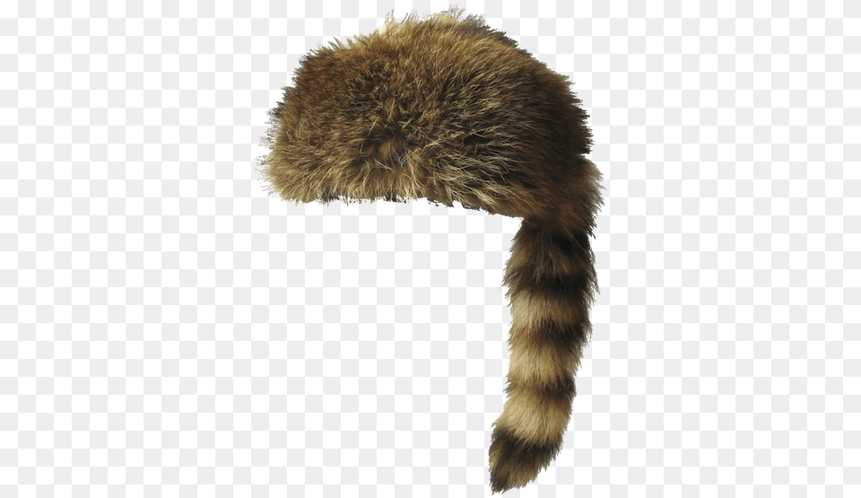 Coon Hat Raccoon Hat, Clothing, Fur, Animal, Bear Free Transparent Png