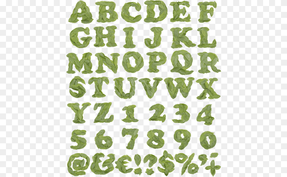 Cooper Leaf Preview Cooper Leaf Font Glass Like Type Font, Text, Plant, Alphabet, Number Png Image