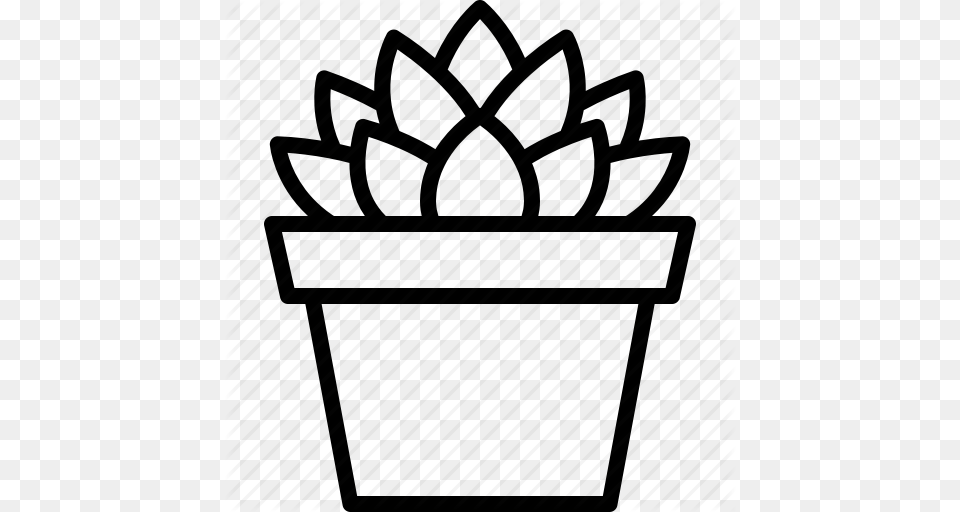 Cooperi Haworthia Houseplant Plant Potted Succulent, Potted Plant, Accessories, Jewelry, Jar Free Png