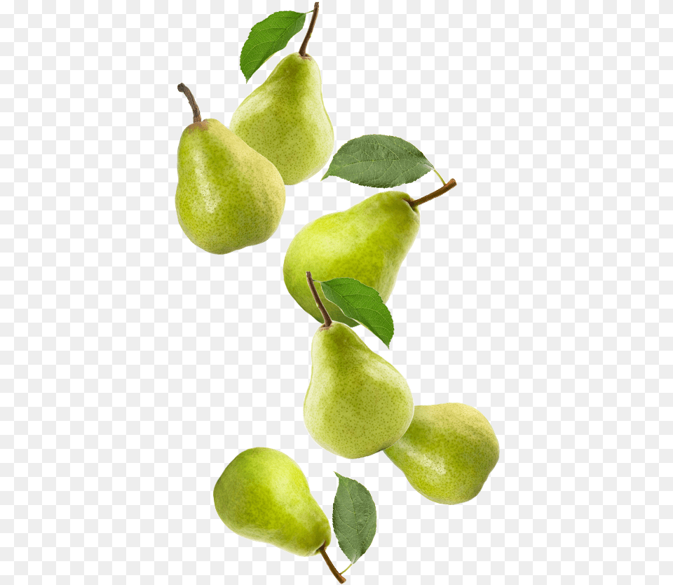 Copefrut Pear, Food, Fruit, Plant, Produce Free Png