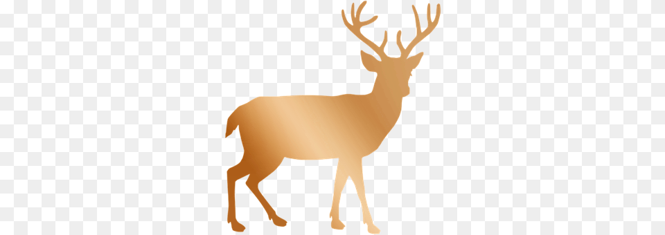 Copper Animal, Deer, Elk, Mammal Png