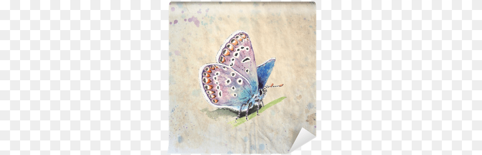 Copper Butterfly Realistic Vintage Style Watercolor Illustration, Animal, Insect, Invertebrate, Art Free Png