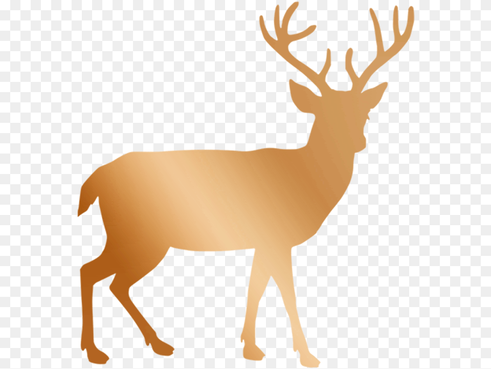 Copper Rose Gold Deer Deer Silhouette Transparent Background, Animal, Mammal, Wildlife, Elk Free Png