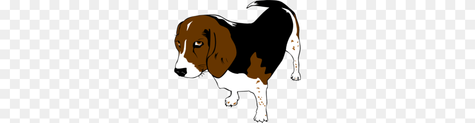 Copper The Beagle Clipart, Animal, Mammal, Hound, Pet Png