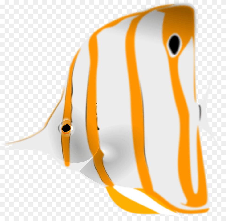 Copperband Butterflyfish Clipart, Angelfish, Animal, Fish, Sea Life Free Transparent Png