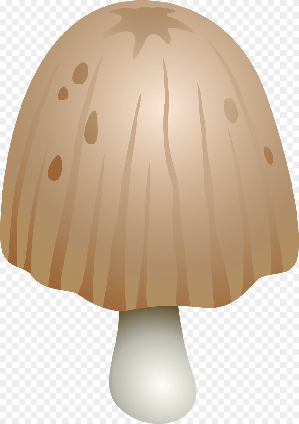 Coprinus Comatus Mushroom Clipart, Fungus, Plant, Agaric, Amanita Png Image