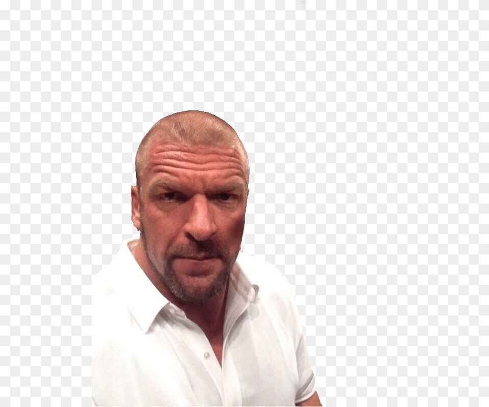 Copy Discord Cmd Wwe Triple H Selfie, Adult, Portrait, Photography, Person Png